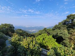 -梧桐山风景名胜区