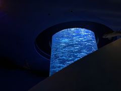-香港海洋公园