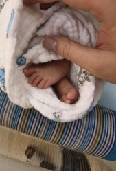 -海豚湾高端月子会所(黄浦店)