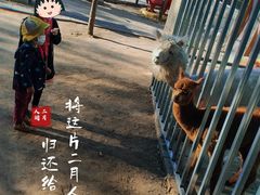 -1982农场