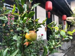 -云锦成公馆(北大街店)