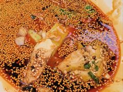 -青花椒花椒鱼(合生汇店)