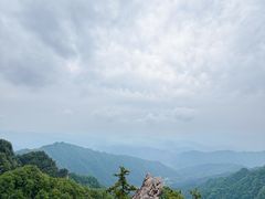 -王顺山国家森林公园