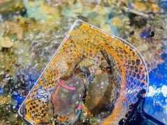 -盒马鲜生(悠方店)