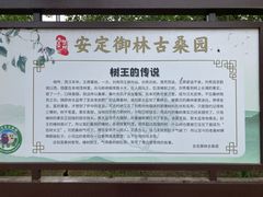 -御林古桑园