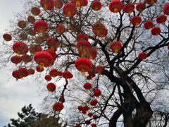 -八大处公园