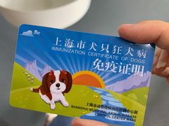 -爱侣宠医·鹦鹉专科·小型哺乳类·异宠专科(灵石路店)