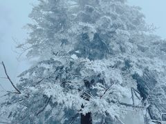 -瓦屋山景区
