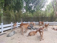 -北京野生动物园