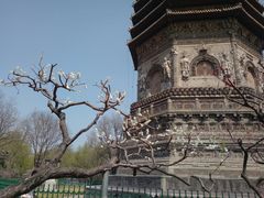 -玲珑塔公园