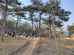 -北京西山国家森林公园