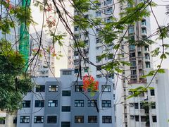 -香港大学