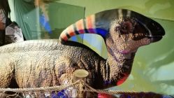 -恐龙探索乐园(磁器口店)