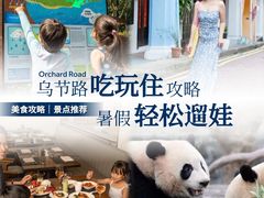 -新加坡乌节希尔顿酒店