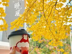 -Beans Solo豆号咖啡(百家湖花园店)