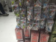 -超级宝可梦中心(东京店)