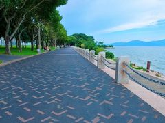 -深圳湾公园(南山区)