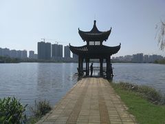 -飞来湖湿地公园