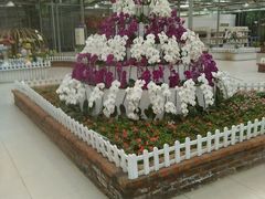 android_upload_pic-沈阳植物园