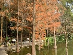 -深圳仙湖植物园