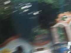 -分塔山省级森林公园