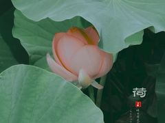 -前关湿地公园
