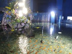 -常州海昌海洋探索馆