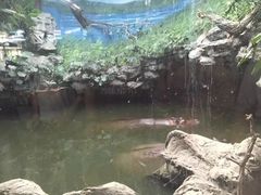 -威勒比开放式动物园