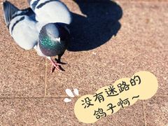 -人民广场