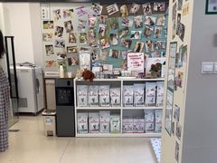 -爱妮康宠物医院·干细胞免疫细胞·肿瘤·心脏(张江店)