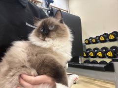 -中田健身工作室(深圳南油店)