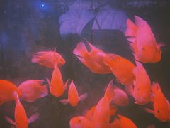 -蓬莱欧乐堡海洋极地世界