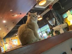 -咖法森林·咖啡  酒吧(天河店)