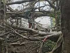 -长鹿旅游休博园