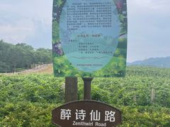 -北京张裕爱斐堡酒庄