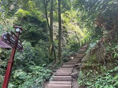 -青城山