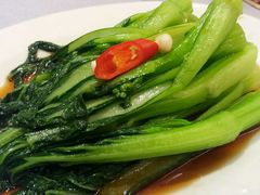 白灼广东菜心-御花园·粤菜·海鲜火锅(中山公园店)