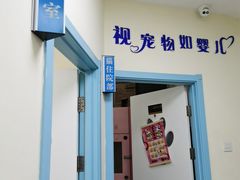 -全心全意连锁动物医院·微创中心·内科急重症·心脏专科(丰管路店)