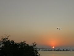 -宝安西湾红树林湿地公园