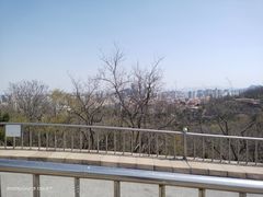 -青岛电视塔
