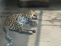 -西安秦岭野生动物园