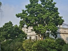 -豫掌柜饸饹面·烩面(秀沿路店)