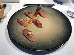 -态芮