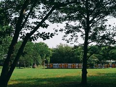 -共青国家森林公园-南大门停车场