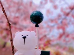 -上海辰山植物园