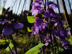 -停车场(临桂路)