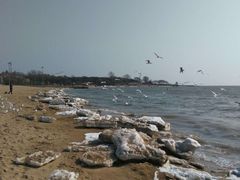 -老虎石海上公园