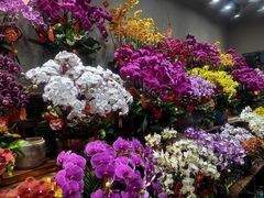 -双季花艺园艺市场(浦东店)