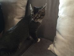 -常州环球恐龙城维景国际大酒店