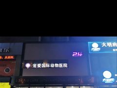 -宠爱国际动物医院· 猫科· 外科·中兽医(长白店)